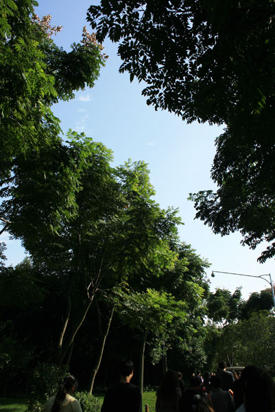 /img/sinablog/2d0ca734be6c6ce1e8833154df5d592d.jpeg